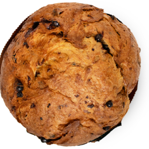 ULTIMI 2 Panettone Infermentum 1kg frutti di