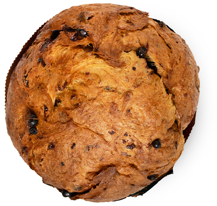 ULTIMI 2 Panettone Infermentum 1kg frutti di